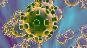 Contractors in US’ coronavirus-affected areas say it’s business as usual